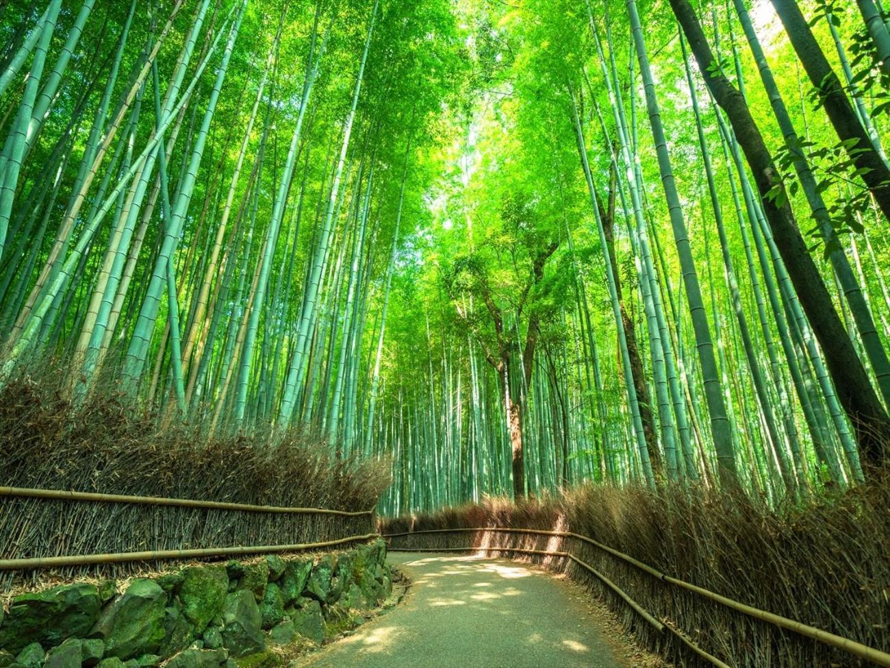 Giappo Franca Kyoto Ξενοδοχείο Εξωτερικό φωτογραφία